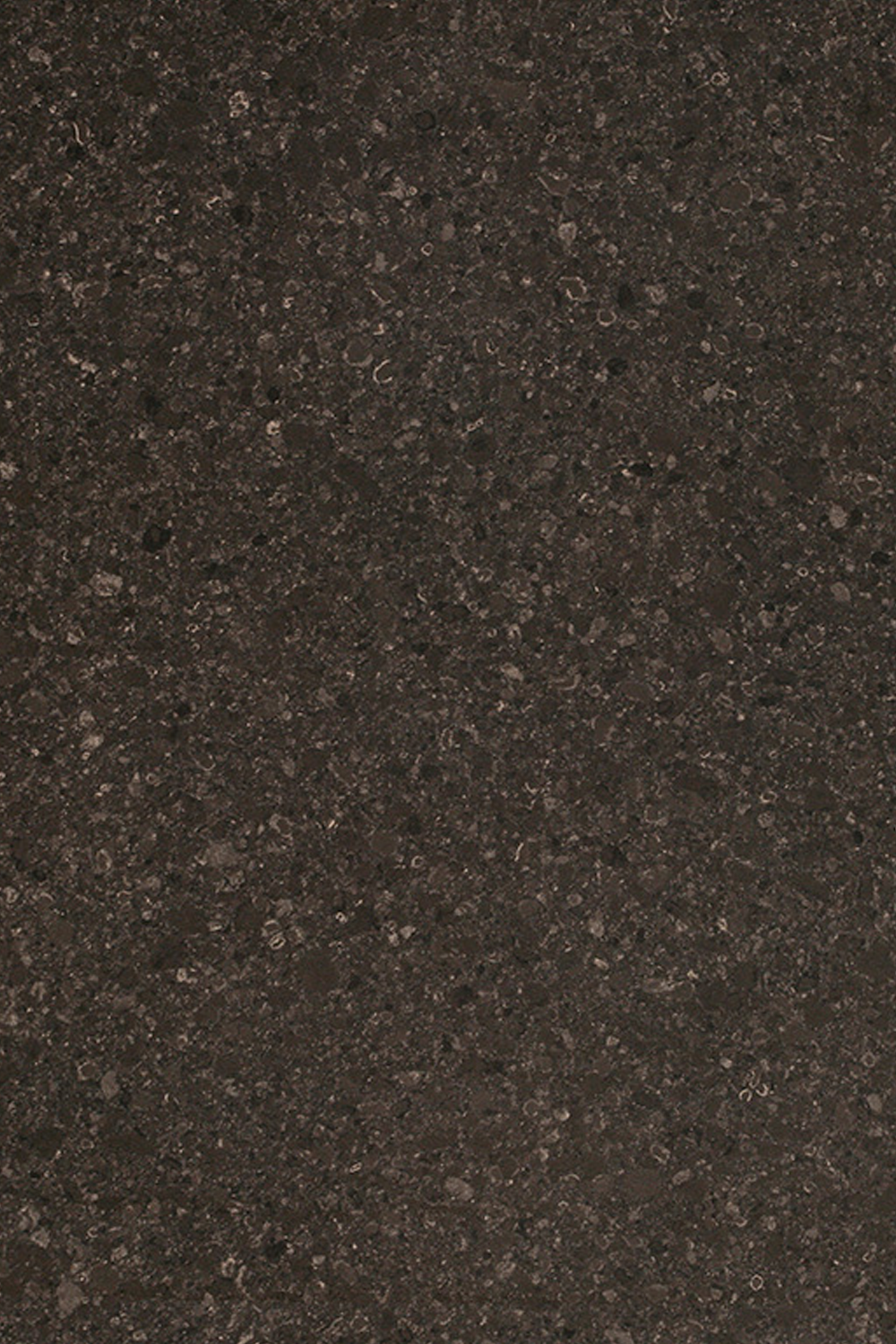 【CAESARSTONE】 U.S. Engineering Stone Work Surface Cat. A-C | Made in Isarel |